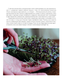 Еда, которая дарит любовь. Осознанное питание во благо здоровья и гармонии — фото, картинка — 15