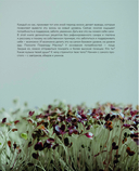 Еда, которая дарит любовь. Осознанное питание во благо здоровья и гармонии — фото, картинка — 9