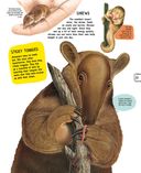 Животные — фото, картинка — 17