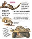 Животные — фото, картинка — 18