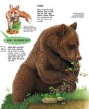 Животные — фото, картинка — 20