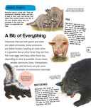 Животные — фото, картинка — 21