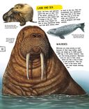 Животные — фото, картинка — 22