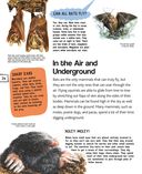 Животные — фото, картинка — 24