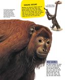 Животные — фото, картинка — 26