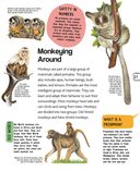 Животные — фото, картинка — 27