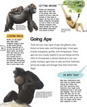 Животные — фото, картинка — 28