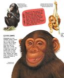 Животные — фото, картинка — 29