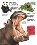 Животные — фото, картинка — 30