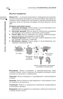 Расшифровка анализов — фото, картинка — 12
