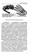 Запрещённая палеонтология. Динозавр произошёл от человека! Теория биологической инволюции — фото, картинка — 5