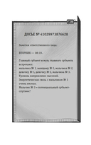 День, когда никто не проснулся — фото, картинка — 14