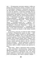 Путешествие из Петербурга в Москву — фото, картинка — 25