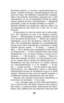 Путешествие из Петербурга в Москву — фото, картинка — 27