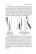 Практическая кинезиология — фото, картинка — 14
