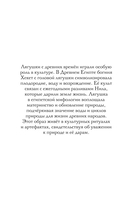 Ква-Ква дни — фото, картинка — 1