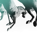 Большой балет — фото, картинка — 2