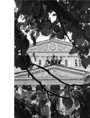 Большой балет — фото, картинка — 13