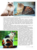 Большая книга о кошках и собаках. 1001 фотография — фото, картинка — 11