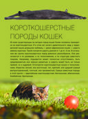 Большая книга о кошках и собаках. 1001 фотография — фото, картинка — 12