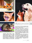 Большая книга о кошках и собаках. 1001 фотография — фото, картинка — 15