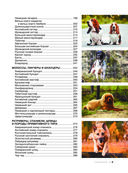 Большая книга о кошках и собаках. 1001 фотография — фото, картинка — 5