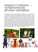 Большая книга о кошках и собаках. 1001 фотография — фото, картинка — 6
