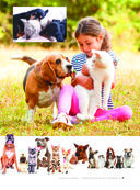 Большая книга о кошках и собаках. 1001 фотография — фото, картинка — 7