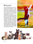 Большая книга о кошках и собаках. 1001 фотография — фото, картинка — 8