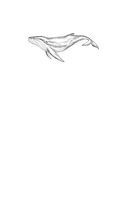 Спи, милый принц — фото, картинка — 10