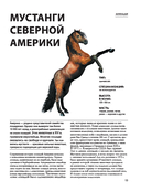 Лошади — фото, картинка — 11