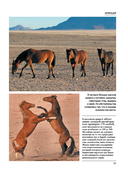 Лошади — фото, картинка — 15