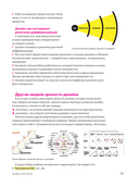 Паттерны дизайн-менеджмента — фото, картинка — 21