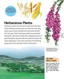 Растения — фото, картинка — 17