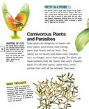 Растения — фото, картинка — 18