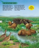 Растения — фото, картинка — 20