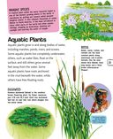 Растения — фото, картинка — 21