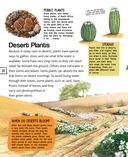 Растения — фото, картинка — 22