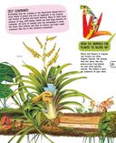 Растения — фото, картинка — 25