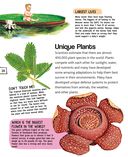 Растения — фото, картинка — 28