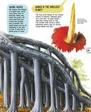 Растения — фото, картинка — 29