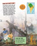 Растения — фото, картинка — 30