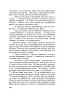 На рандеву с тенью — фото, картинка — 45