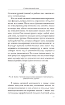 Пчеловодство для начинающих — фото, картинка — 11