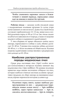 Пчеловодство для начинающих — фото, картинка — 15