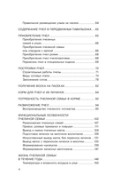 Пчеловодство для начинающих — фото, картинка — 4