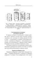 Пчеловодство для начинающих — фото, картинка — 9