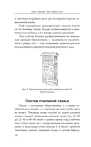 Пчеловодство для начинающих — фото, картинка — 10