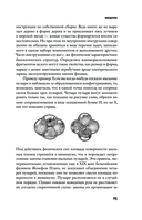 Простое начало — фото, картинка — 14