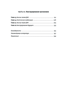 Простое начало — фото, картинка — 6